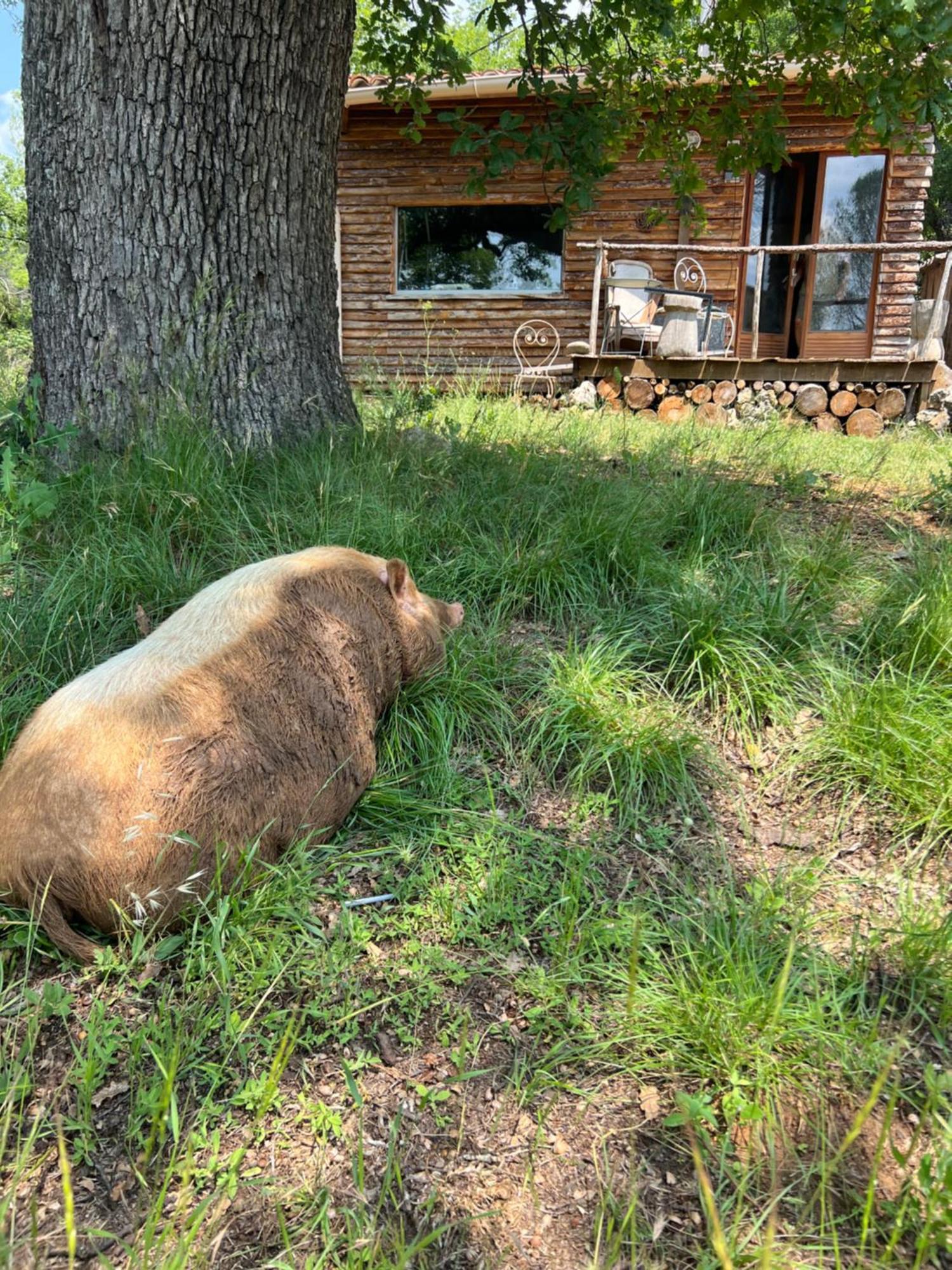 La Cabane De Babarot オープス エクステリア 写真